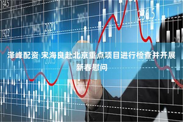 泽峰配资 宋海良赴北京重点项目进行检查并开展新春慰问
